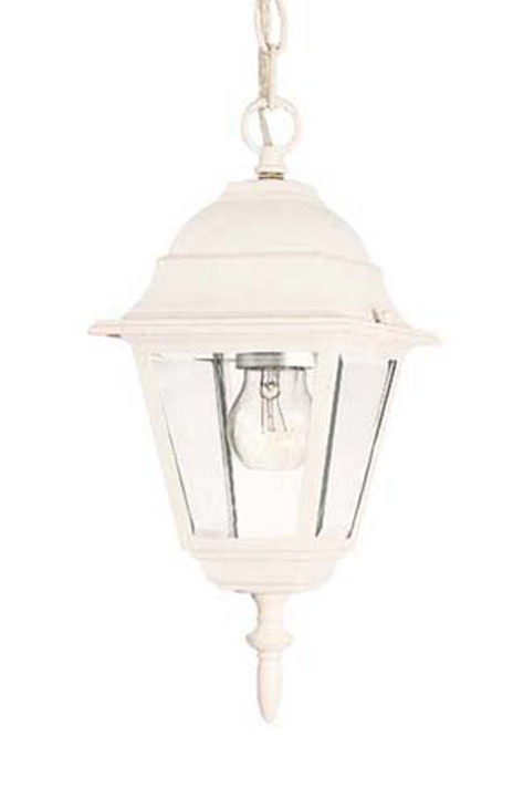 Exterior Hanging by Acclaim Lighting ( 106 | 4006TW Builders` Choice ) 
