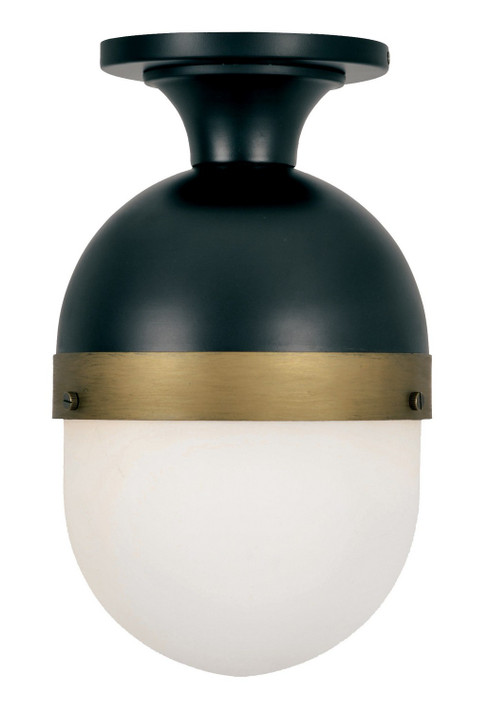 Exterior Ceiling Mount by Crystorama ( 60 | CAP-8500-MK-TG Capsule ) 