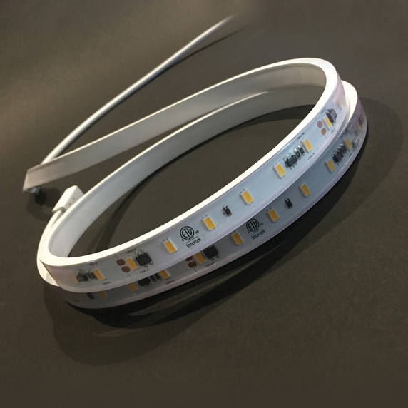 Specialty Items LED Tapes by GM Lighting ( 509 | V120-SHO-30-XXX-X ) 