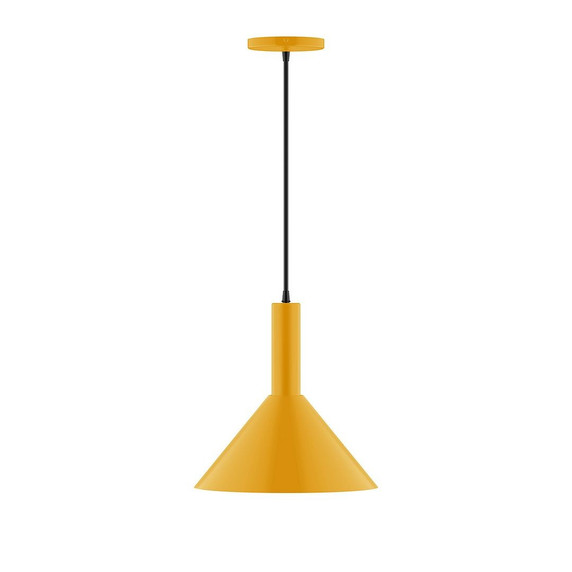 Pendants Metal Shade by Montclair Light Works ( 518 | PEBX466-G15-21-C21 Chase ) 