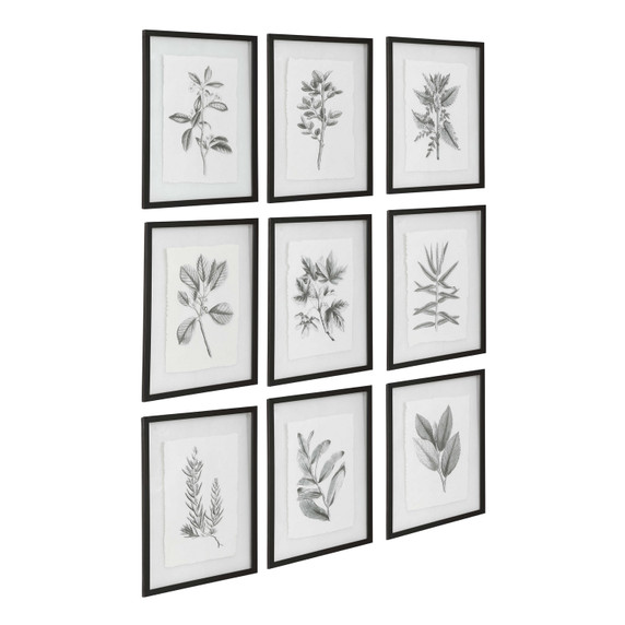 Home Accents Prints/Photography by Uttermost ( 52 | 41617 Farmhouse Florals ) 
