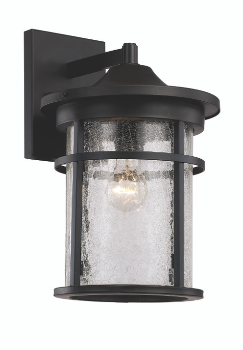 Exterior Wall Mount by Trans Globe Imports ( 110 | 40382 BK Avalon ) 