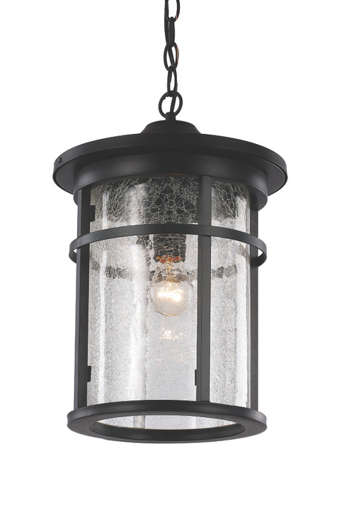 Exterior Hanging by Trans Globe Imports ( 110 | 40386 BK Avalon ) 