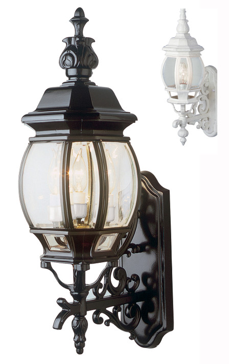 Exterior Wall Mount by Trans Globe Imports ( 110 | 4051 WH Francisco ) 