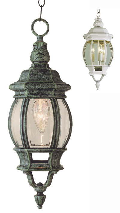 Exterior Hanging by Trans Globe Imports ( 110 | 4065 WH Parsons ) 