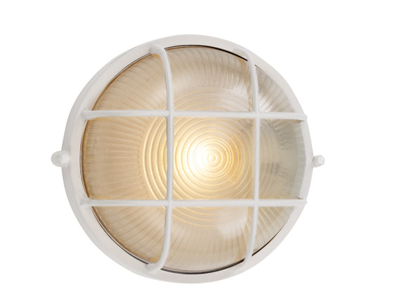 Exterior Wall Mt./Flush by Trans Globe Imports ( 110 | 41505 WH Aria ) 