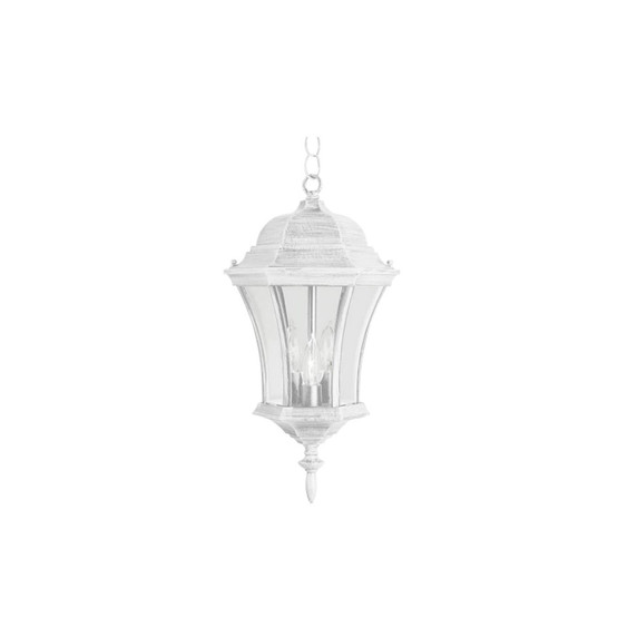 Exterior Hanging by Trans Globe Imports ( 110 | 4505 WH Burlington ) 
