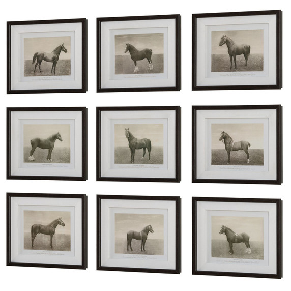 Home Accents Prints/Photography by Uttermost ( 52 | 32343 Equine Dynasty ) 