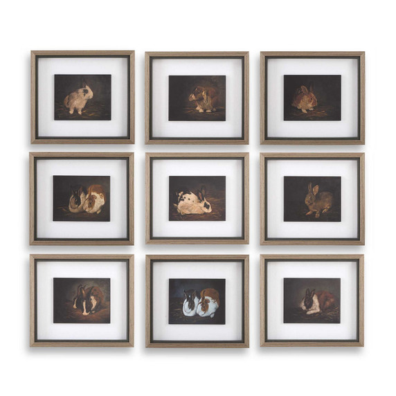 Home Accents Prints/Photography by Uttermost ( 52 | 32386 Resting Bunny ) 