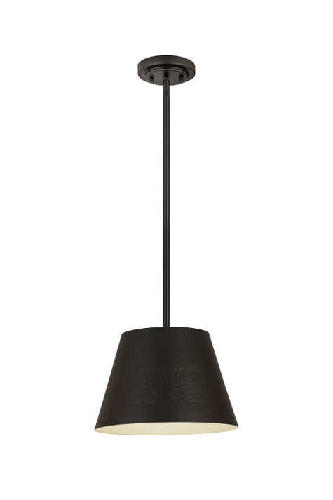 Pendants Metal Shade by Z-Lite ( 224 | 6013-12MB Maddox ) 