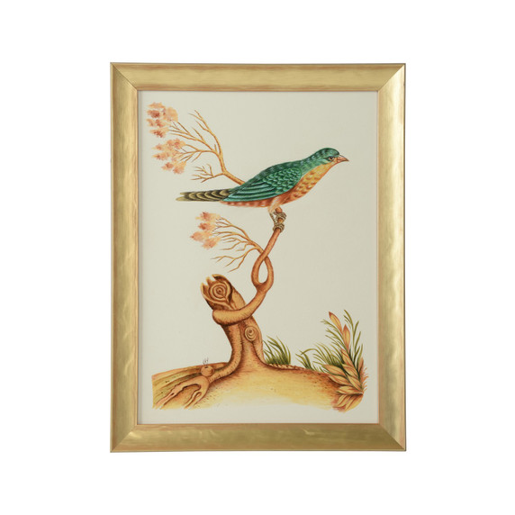 Home Accents Prints/Photography by Wildwood ( 460 | 387219 Bill Cain ) 