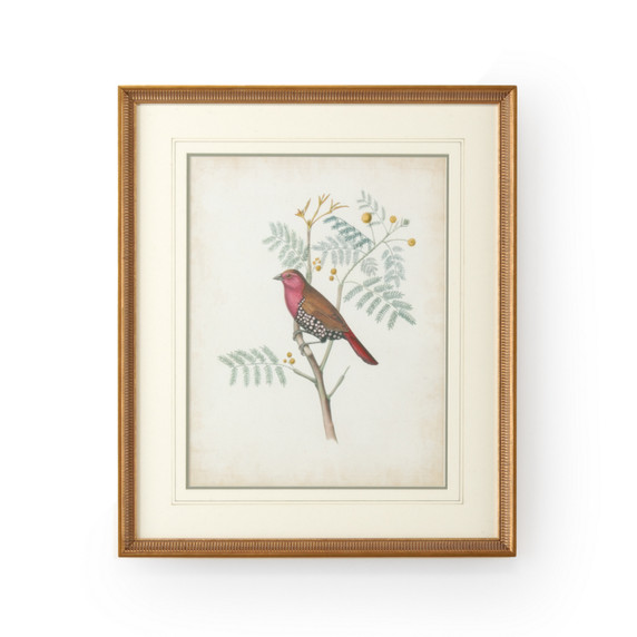 Home Accents Prints/Photography by Wildwood ( 460 | 386343 Chelsea House Misc ) 