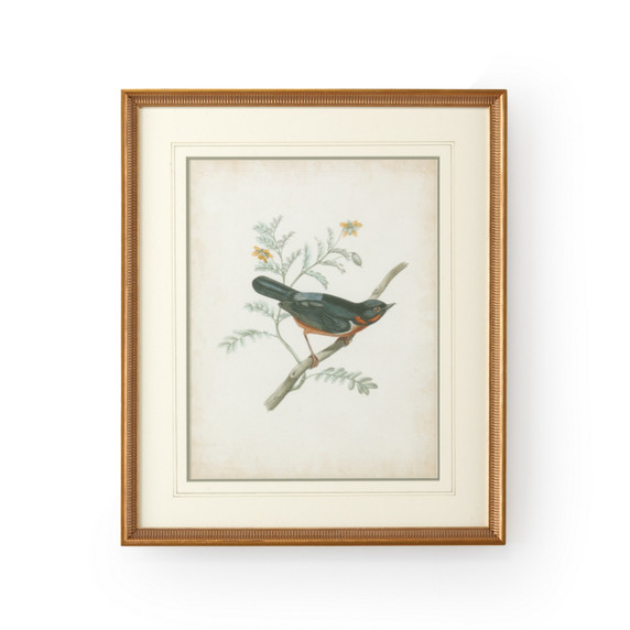 Home Accents Prints/Photography by Wildwood ( 460 | 386344 Chelsea House Misc ) 