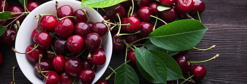 Tart Cherry Juice vs Tart Cherry Extract Tart Cherry Juice vs Tart Cherry Extract