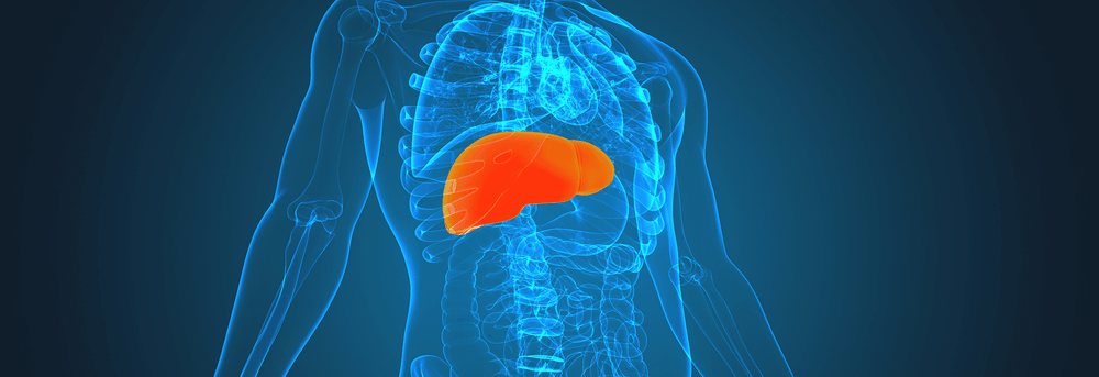 Curcumin & Liver Health: Benefits, Research & Safety Guide Curcumin & Liver Health: Benefits, Research & Safety Guide