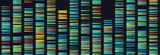 How NMN Repairs DNA And Reverses Aging