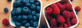 Blueberries and Bone Health During Menopause: Exploring the Antioxidant Connection