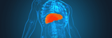 Curcumin & Liver Health: Benefits, Research & Safety Guide