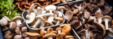 Medicinal Mushrooms For Brain Health