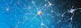 Our Best Supplements For Nerve Pain