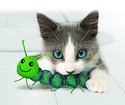 KONG Nibble Critters Catnipillar 