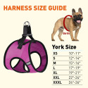 Dogline York Mesh Dog Harness