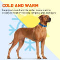 Dogline Biothane Waterproof Collar