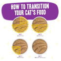 Weruva Paté BFF Chicken and Beef Best Buds Wet Cat Food