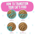 Weruva Paté Duck and Tuna Tap Dance Wet Cat Food