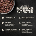 Vital Essentials Freeze Dried Raw Protein Duck Crunchy Nibs