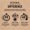 Vital Essentials Freeze Dried Raw Protein Lamb & Whitefish Soft Nibs