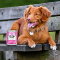 Fromm Classic Puppy Chicken & Salmon Pâté 12.5oz Fromm Classic Puppy Chicken & Salmon Pâté 12.5oz