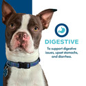 Fromm Nutritionals Digestive Dog Food Supplement Pâté