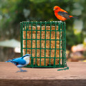 C&S E-Z Fill Suet Basket