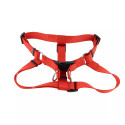 Coastal Comfort Wrap Adjustable Dog Harness