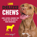 Etta Says Deluxe Lamb Chew