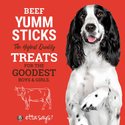 Etta Says Yumm Stick Beef