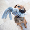 Kong Wubba Friend
