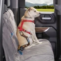 Kurgo Direct to Seatbelt Tether