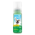 Tropiclean Fresh Mint Foam