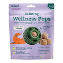 Woof Pupsicle Peanut Butter & Beef Wellness Pops Dog Treats
