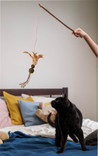 Spot Naturals Silver Vine Teaser Wand Cat Toy