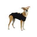 Calm Paws Calming Recovery Vest