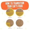 Weruva BFF OMG Gravy Shine Bright Chicken & Salmon