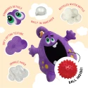 Snugarooz Distracting Dave 2-in-1 Toy