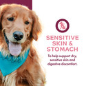 Fromm Nutritionals Sensitive Skin & Stomach Complete Dog Food Pate
