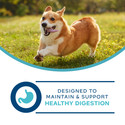 Fromm Nutritionals Digestive Support Low Fat Pate Wet Complete Dog Food