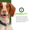 Fromm Nutritionals Mobility Chicken & Whole Oats Recipe Dry Dog Food