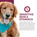 Fromm Nutritionals Sensitive Skin & Stomach Salmon & Whole Oats Recipe Dry Dog Food