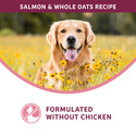 Fromm Nutritionals Sensitive Skin & Stomach Salmon & Whole Oats Recipe Dry Dog Food
